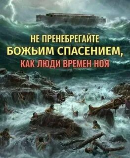 Дни ноя 2
