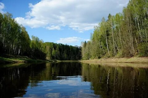Кунья