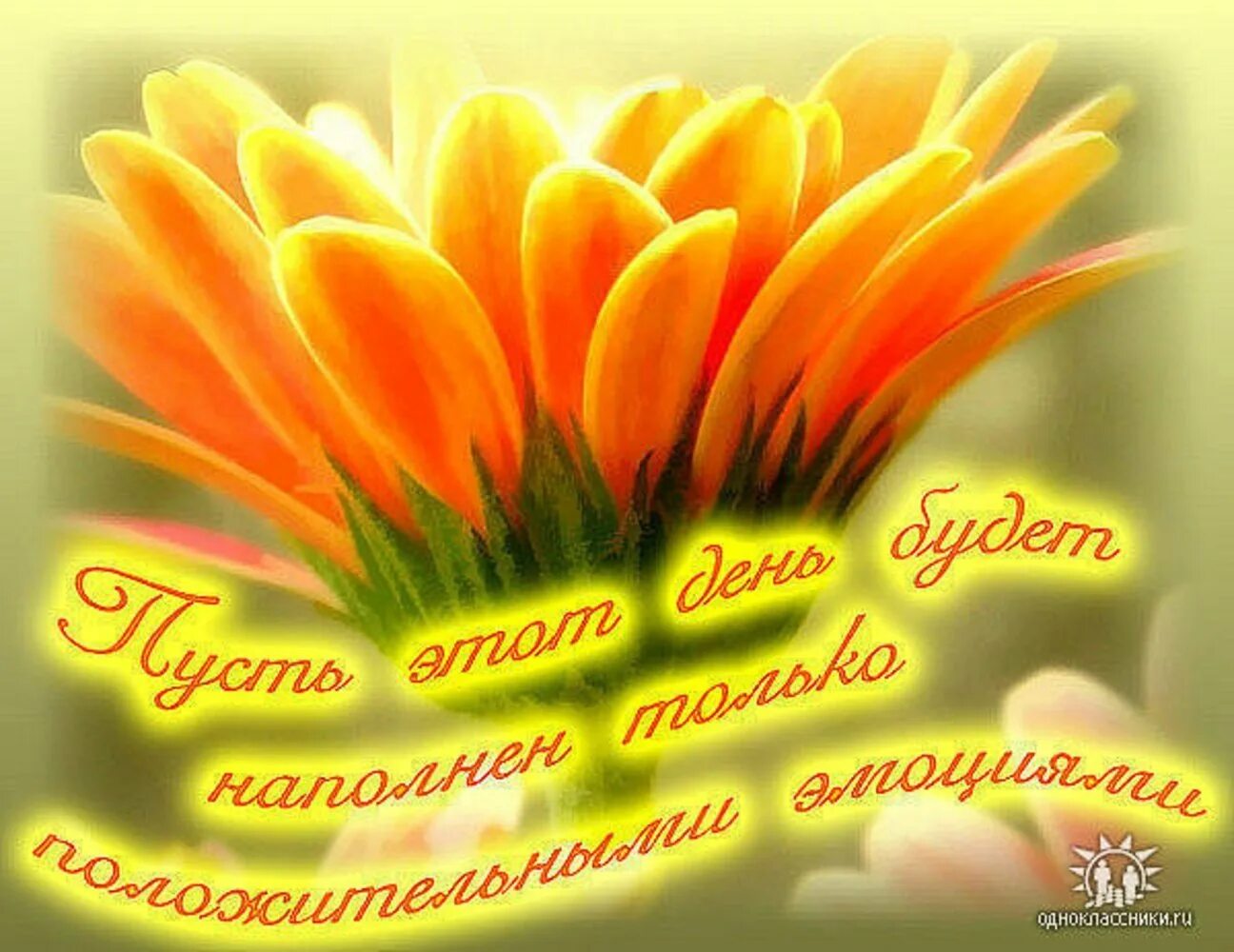 открытка с пожеланием доброго дня Доброе утро, Картинки, Открытки