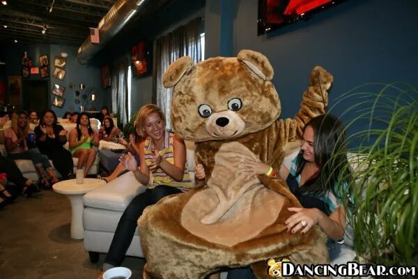 Dancing bear в россии. Дансинг беар. Бостонский балет щелкунчик медведь. Медвежонок танцует. Танцующий медведь шоу для женщин.
