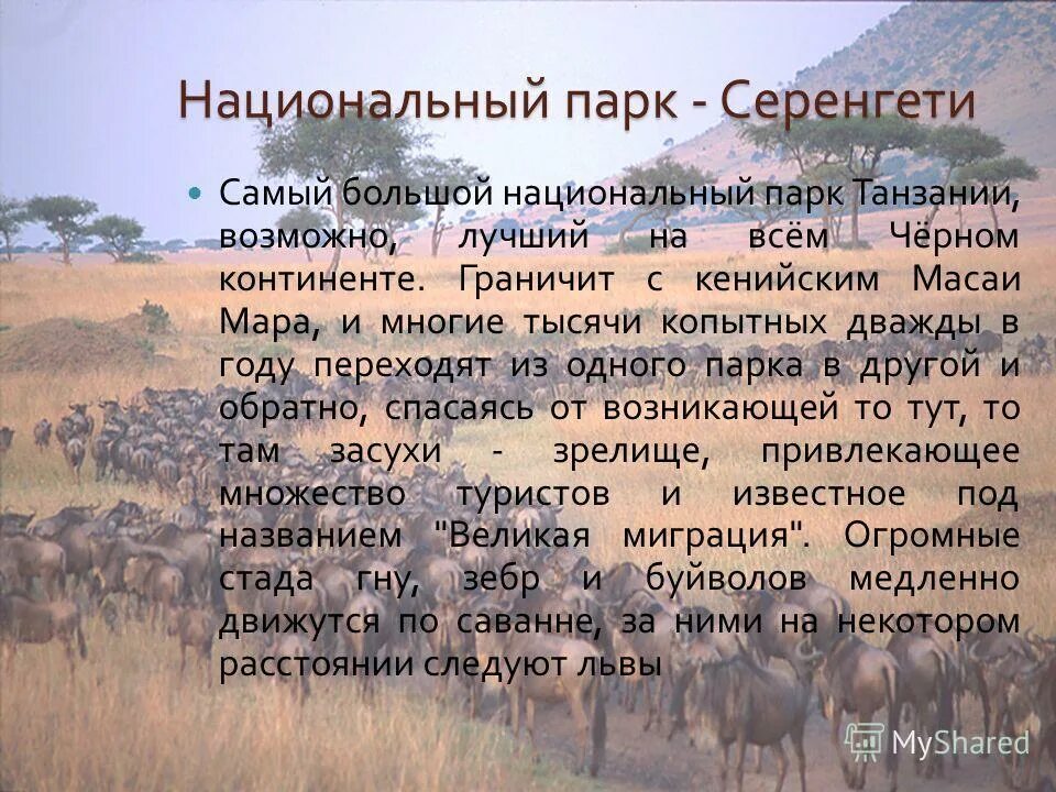 сообщение о природных зонах африки