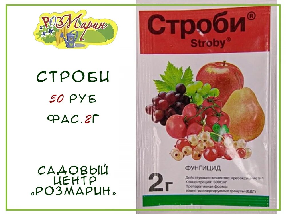 Фунгицид от каких болезней. Строби (фунгицид) 2г.. Фунгицид Строби (BASF). Строби 2 г. Строби ВДГ.