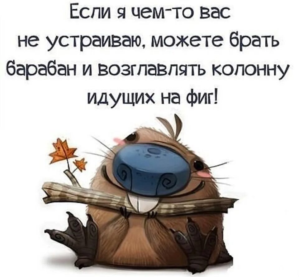 Ржачные приколы картинки со смыслом. Позитивные высказывания. веселые цитаты. смешные высказывания. афоризмы приколы.