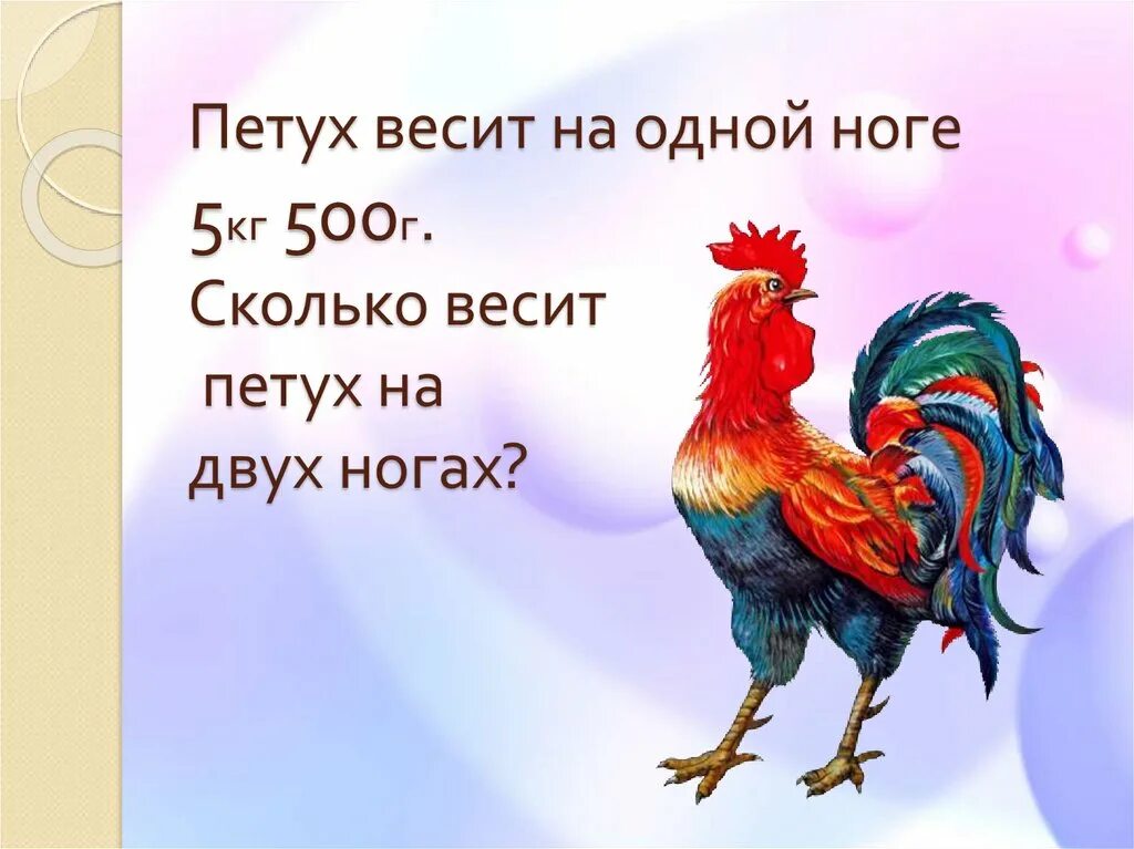 Петух сколько звуков. Петух на одной ноге. Стоп петух. Петух на двух ногах весит. Петух весит 5 кг на одной ноге.