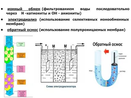 Ионный обмен веществ