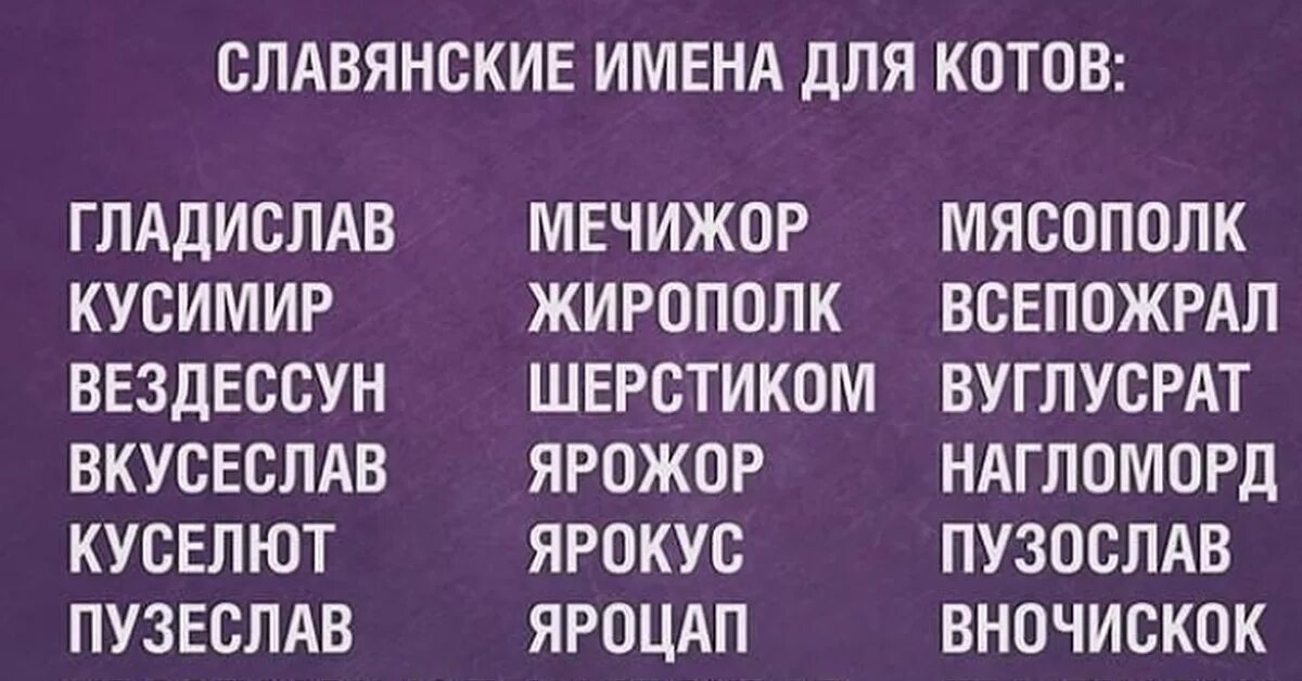 Веселые клички. Славянские и Ена котов. Славянские имена для кошек. Старославянские имена для котов. Смешные клички.