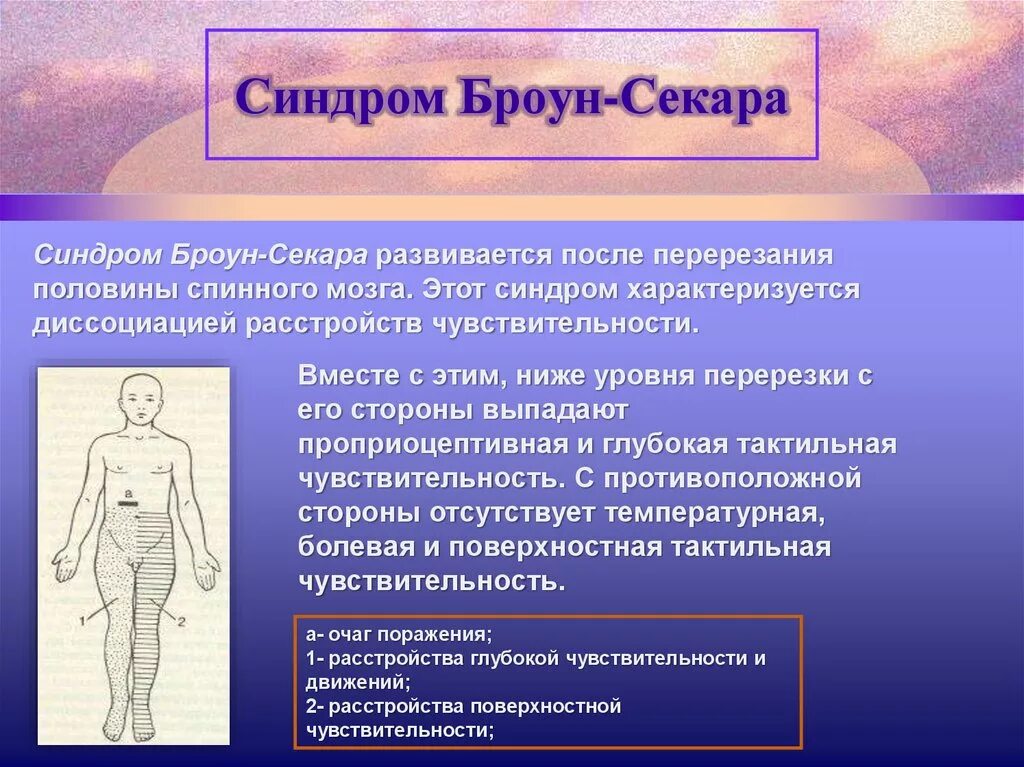 Синдром барта. Синдром Брауна секкера. Методы исследования синдрома Броун Секара. При синдроме Броун-Секара.