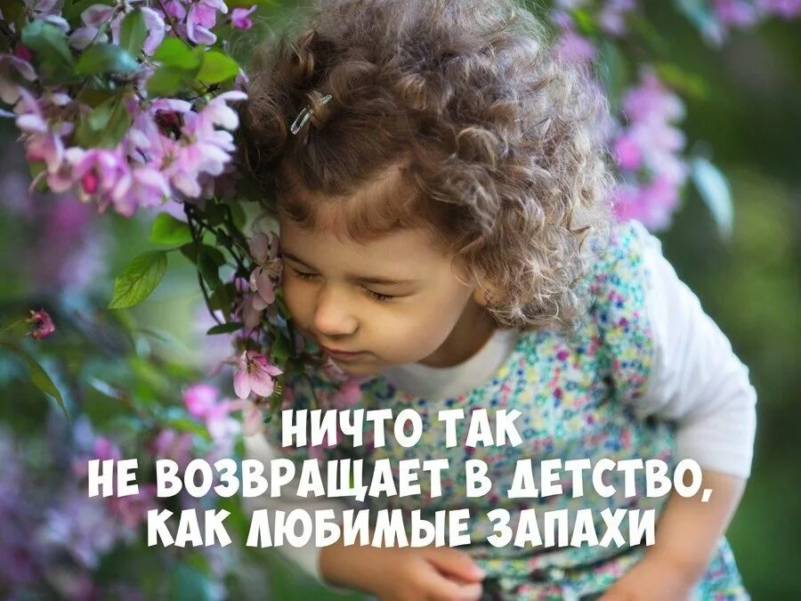 Сейчас пахнешь