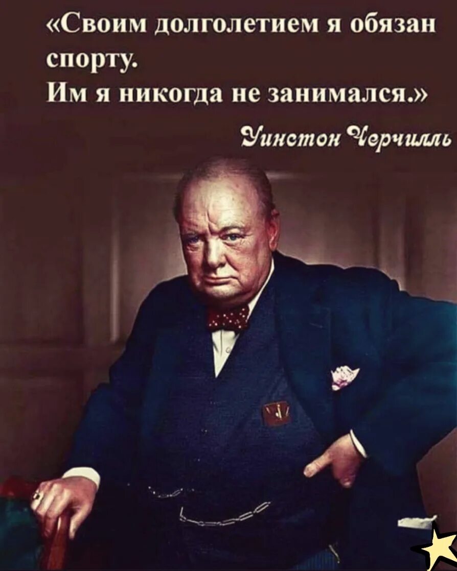 Я им выскажу. Чтобы понять надо потерять. Пушкин цитаты. Я им выскажу. Обиженный лев.