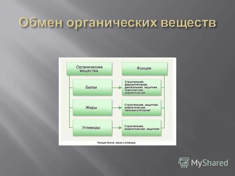 обмен не органических веществ. углеводы превращаются в жиры. схема обмен органических соединений. обмен органических соединений в организме это. обмен органических веществ это обмен ответы.