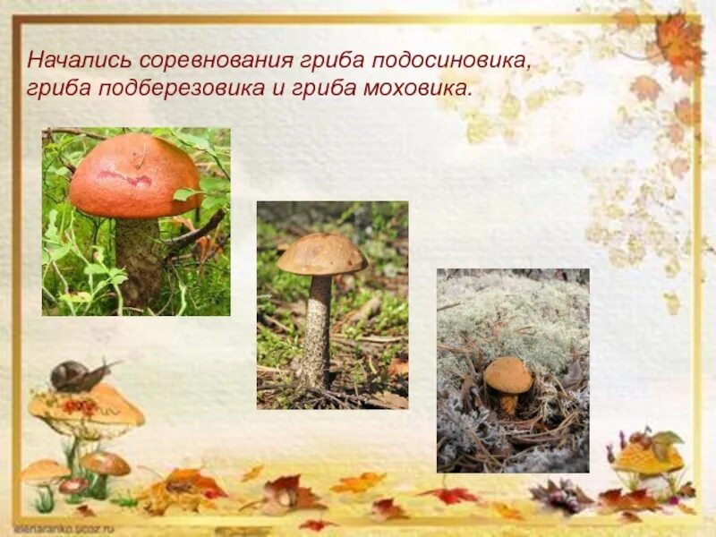 Лесные силачи. Сладков лесные силачи читать. Сладков лесные силачи. Пришвин недосмотренные грибы иллюстрация. Лесные силачи.