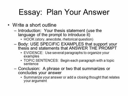 Essay plan