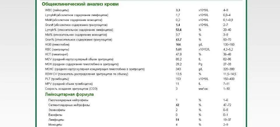 Сегментоядерные у собак