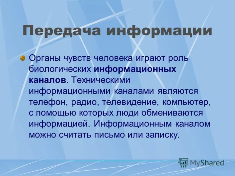 Регулярно принимаем участие в