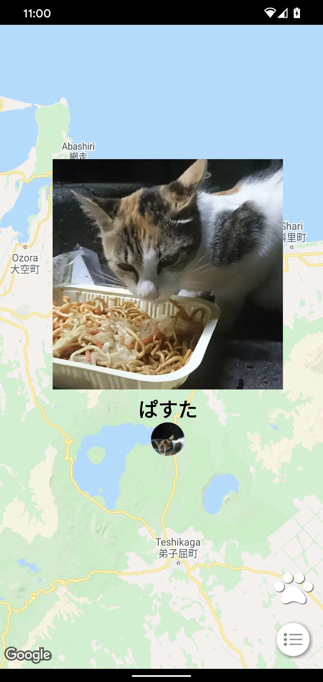 Кэт мэп. Кортукэт. Google Maps Cat. Карту Кэт добрый.