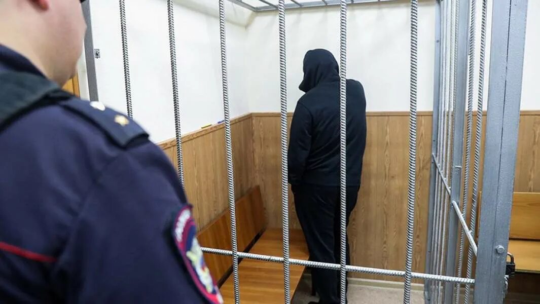 Шишканов воронеж. Шишканов воронеж