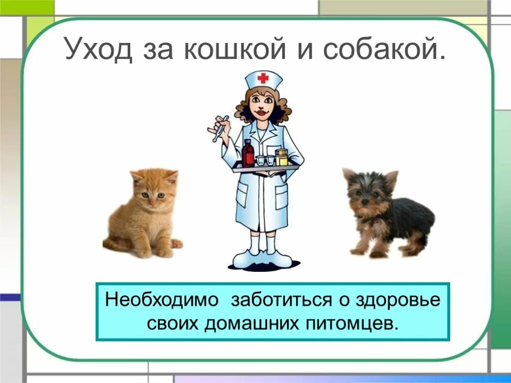 Кошки и собаки 2 класс. Про кошек и собак 2 класс окружающий мир. Кошки и собаки для презентации. Проект по окружающему миру по кошек и собак. Домашние питомцы кошка и собака презентация.