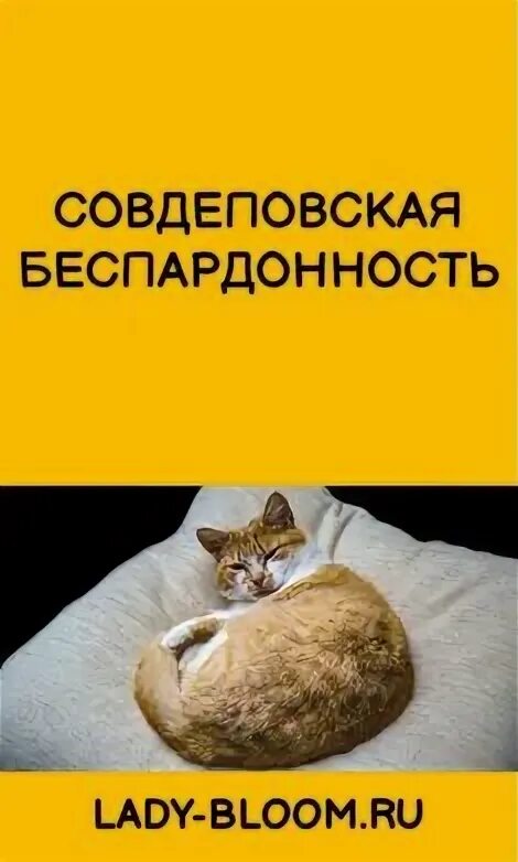 Беспардонность. Беспардонность это. беспардонность это простыми словами. беспардонность картинки. у некоторых людей беспардонность.