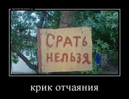 Какать нельзя