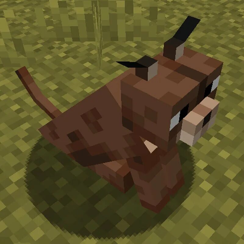 Cat mod minecraft