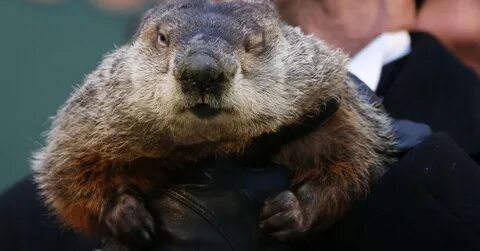 Groundhog's