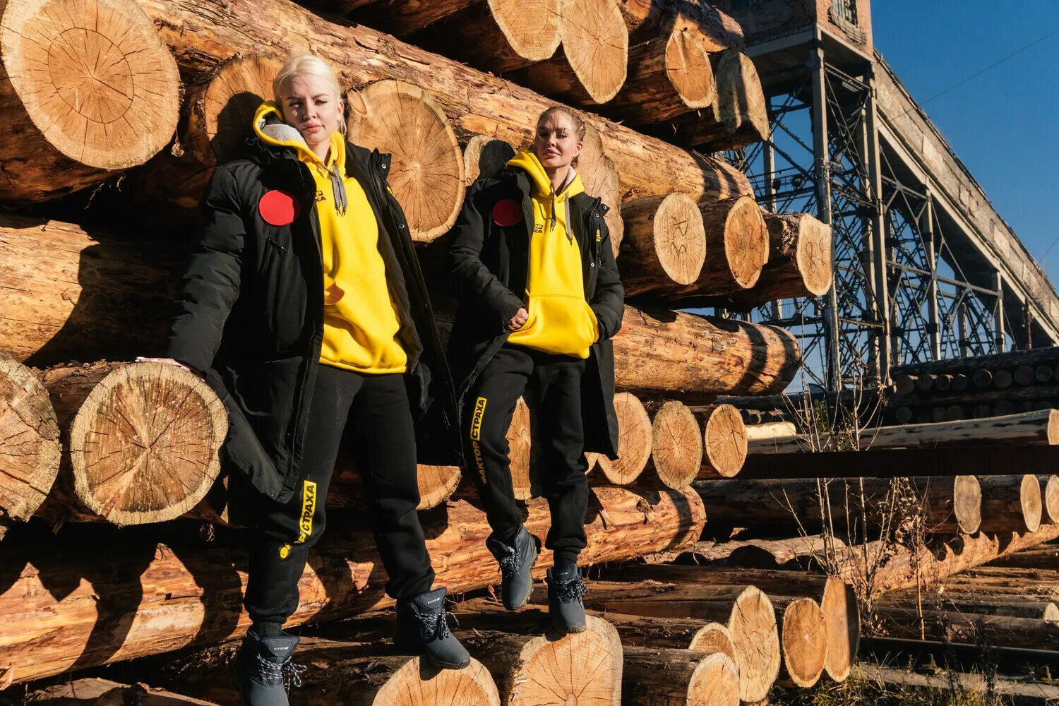 испытание тайгой фактор