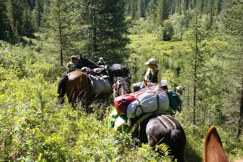 Туризм поход. Снаряжение для горного туризма. Туристический поход. В дальнем походе какой. Экотуризм в россии.