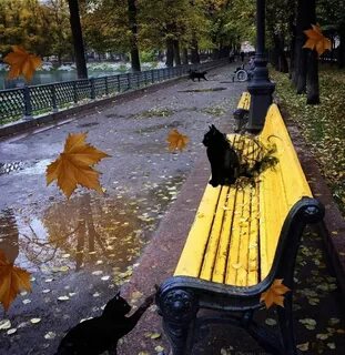 Воланд пруды
