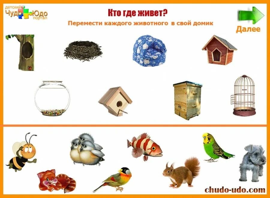 Игра "кто где живет?". Где чей домик? игра лото насекомые. Дид игра чей домик. Где живет чей дом. Где живет чей дом.