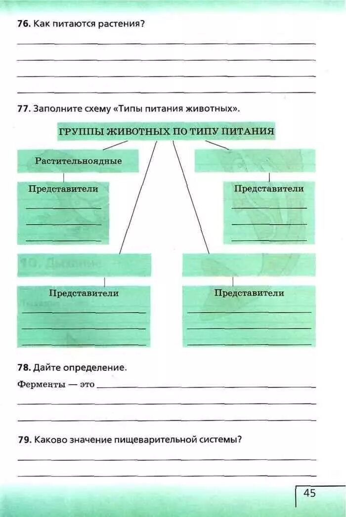 Рабочая тетрадь по биологии читать. Биология 6 класс рабочая тетрадь Сонин. Биология 6 кл рабочая тетрадь Сонин. Биология 6 класс рабочая тетрадь Сонин с пчелой.