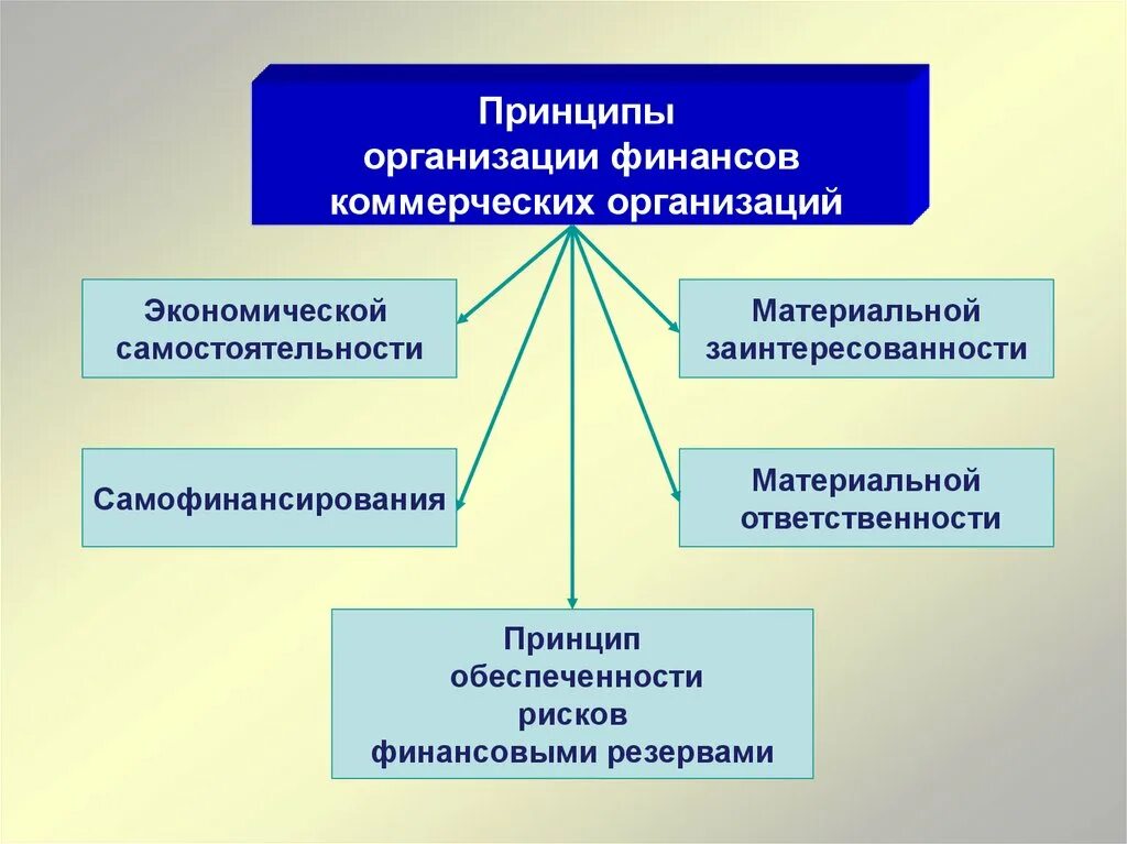 Принципы организации финансов коммерческих организаций. К принципам организации финансов коммерческих предприятий относится. Принципы коммерческого предприятия. Принципы финансов коммерческих предприятий. Особенности финансирования учреждения