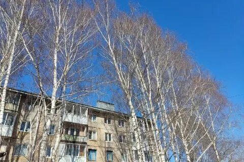 9 января 4