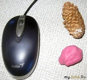 Шишки мышки