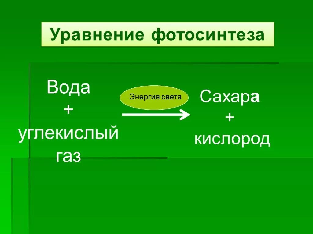 Биология 6 класс фотосинтез ответы на вопросы. Формула фотосинтеза биология 9 класс. Понятие фотосинтез. Питание растений фотосинтез. Суммарная реакция фотосинтеза формула.