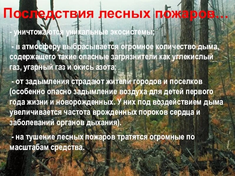 Лесная влияние на окружающую среду. Последствия лесных пожаров. Последствия пожара в лесу. Последствия лесных пожаров кратко. Последствия пожаров леса.