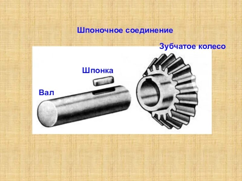 Шпоночное соединение вала. Шпоночное соединение зубчатого колеса с валом. Шпоночное соединение колесо вал. Шпоночное соединение вала с зубчатым колесом. Шпоночное соединение шестерни с валом.