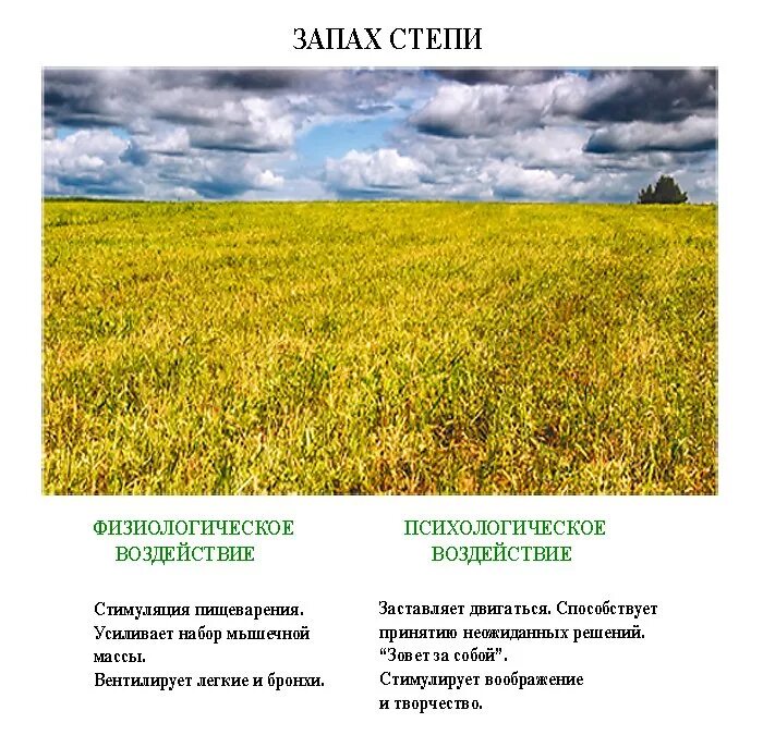 дождь в поле. лазорики цветы в ростовской области. карталы степь. ковыль курган донских степей. иргиз.