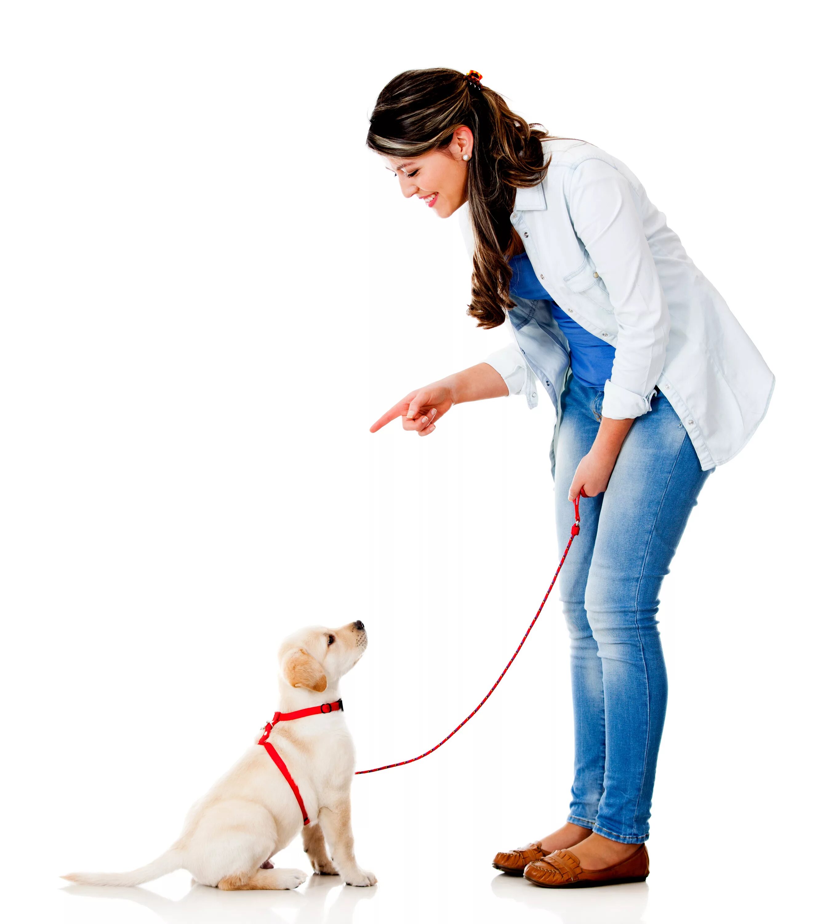 Leash slap