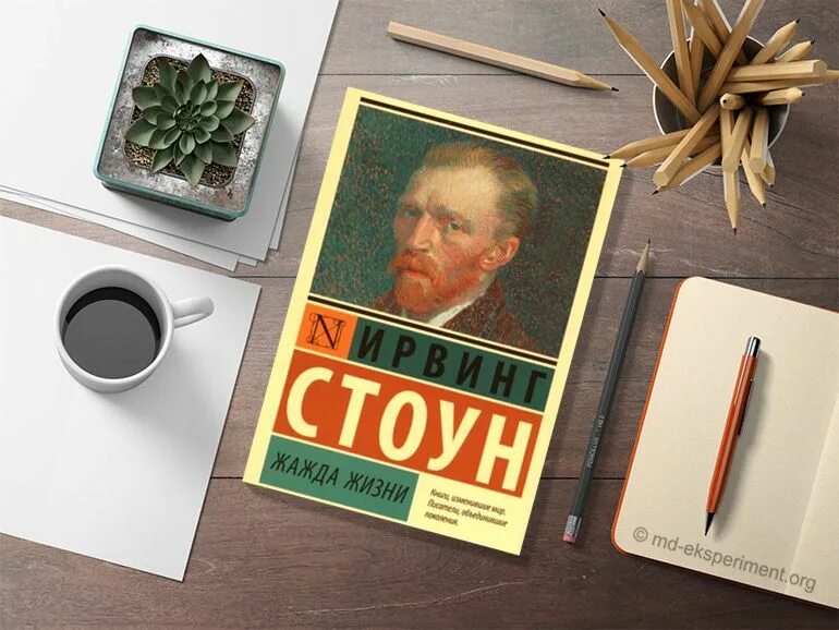 Ирвинг стоун аудиокниги. Ирвинг Стоун van Gogh. Ван Гог книга жажда жизни. Ирвинг Стоун "жажда жизни". Книга жажда жизни (Стоун и.).