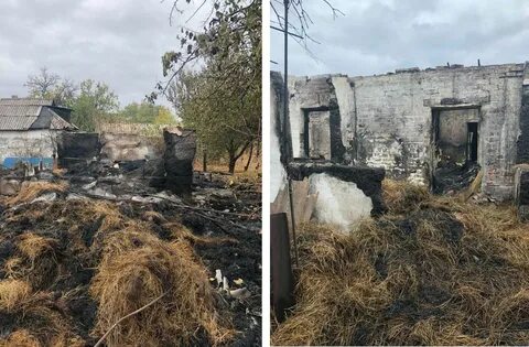 Тоненькое днр сегодня