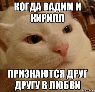 Оскорбление кириллу