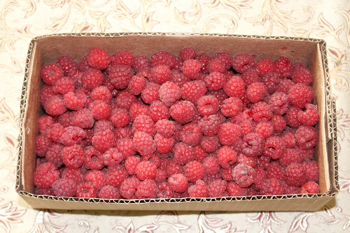 ягодные плантации. малина лесная. малина в лотке. ягода малинка оо. ягодка малинка.