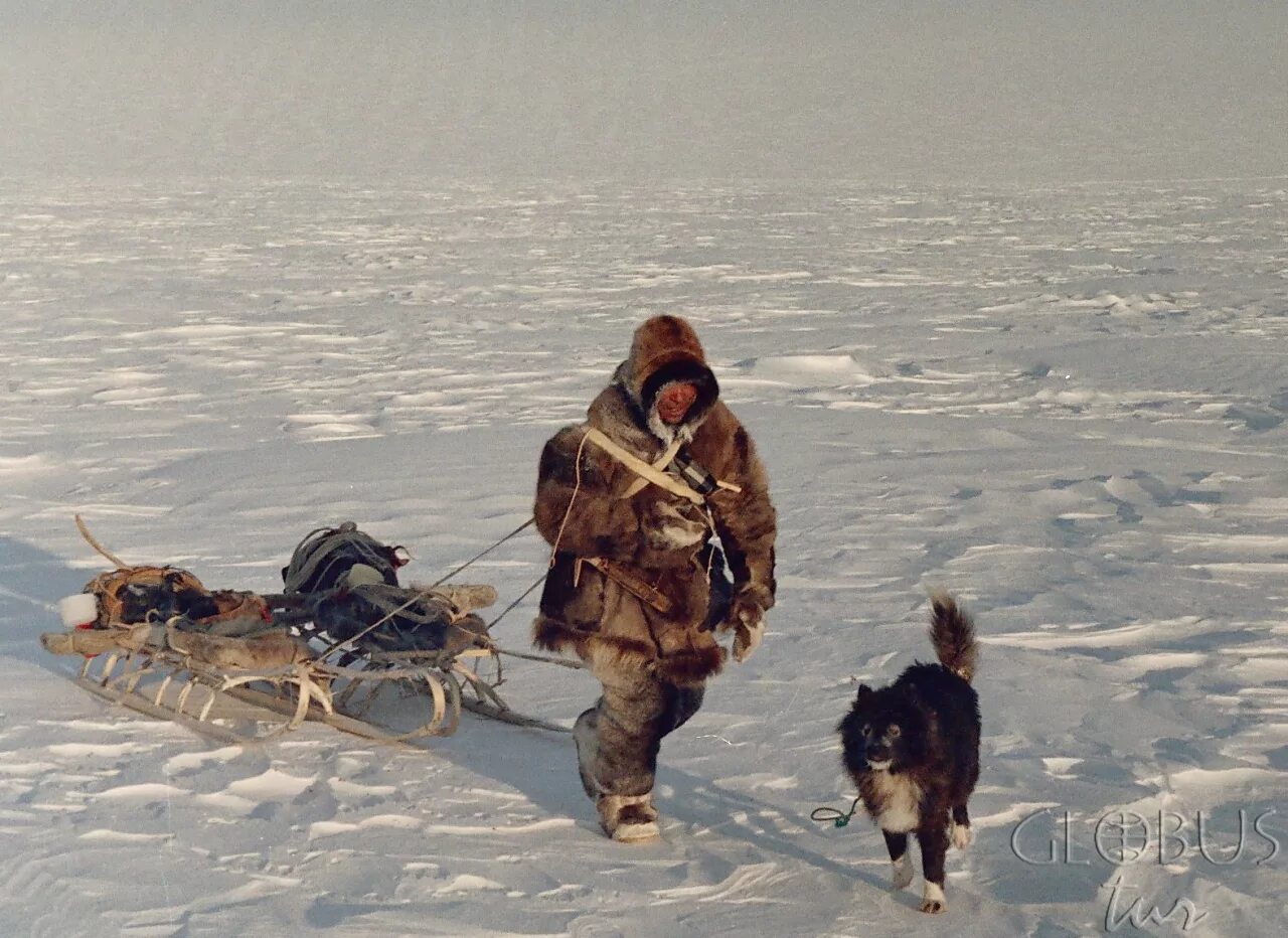 аляска эскимосы. охотничий промысел на чукотке. лорино чукотка. павлуцкий чукотка. чукчи охота на морского зверя.