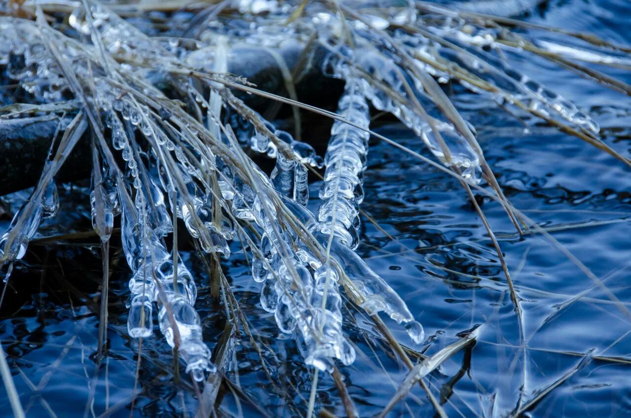 Замерзание воды. Замерзшая вода. Застывшая вода. Замораживание воды.