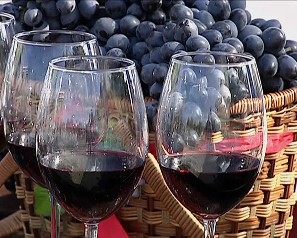 Купить вино в сочи. Вино Черноморское. Вино Сочи. Сочинское вино. Виноделие в Сочи.