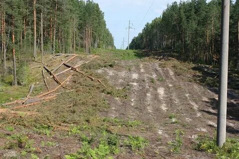 Расчистка трасс
