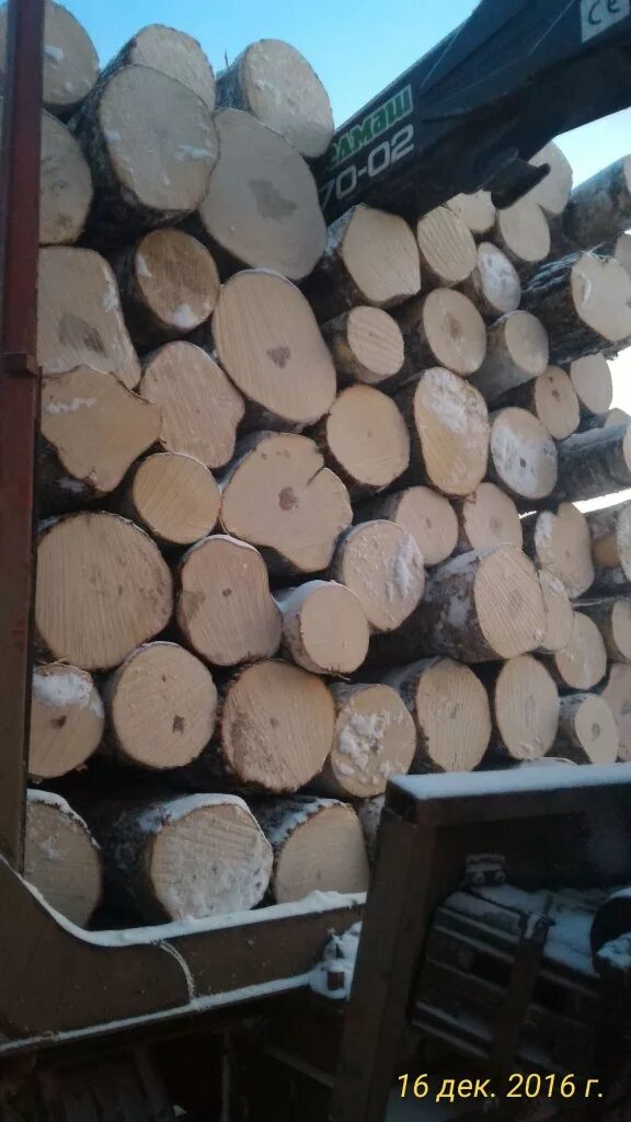 Фанерный кряж березовый. Фанерный кряж. Дрова долготье осина береза. Кряж лесоматериал. Березовый кряж.