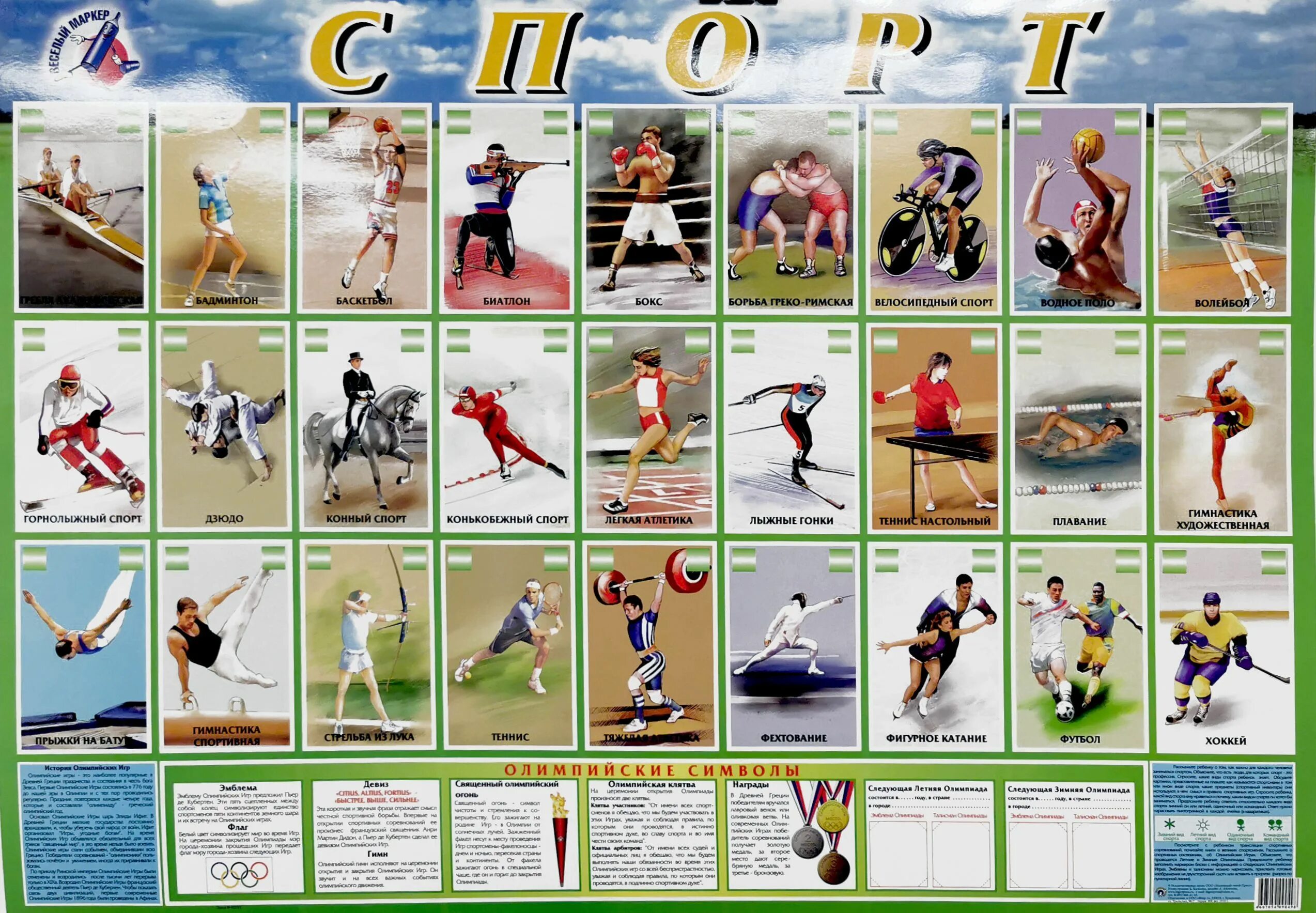 Примеры спортивных игр
