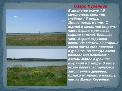 Большое курейное курганская область