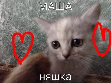 Масса одинаковых чемоданов
